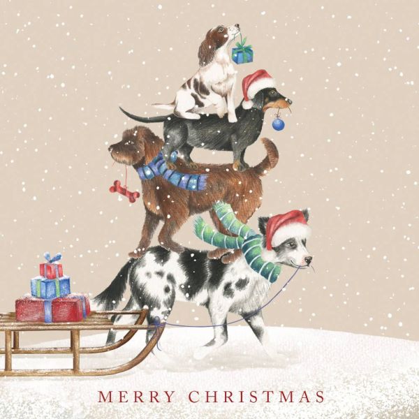 Festive Dogs Boxed Cards